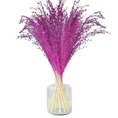 Imagem de Arranjo de Flores Desidratadas Capim Vinho de Chão Decoração + Vaso de Vidro