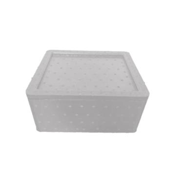 Imagem de Caixa Térmica EPP de Alto Desempenho/Resistência TOTES J01 Branca 6,1 L