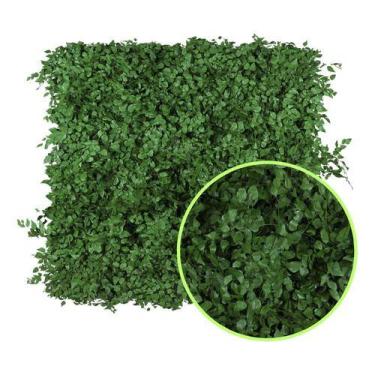 Imagem de Jardim Vertical Preservado Avenca - Placa 50x50 - Pense Flores