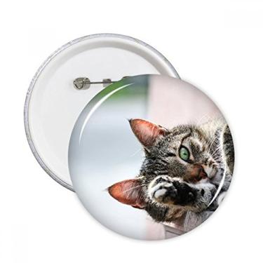 Imagem de Imagem de fotografia de gato de atividade animal, alfinetes, emblema, botão, emblema, acessórios, decoração, 5 peças