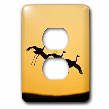 Imagem de 3dRose LLC. lsp_145229_6 Sandhill Crane Bird Landing, Novo México, EUA - US32 Ldi0032 - Larry Ditto - 2 tampas de tomada, multicolorido