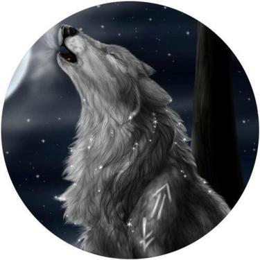 Imagem de Capa De Estepe Ecosport Aircross Lobo Noite