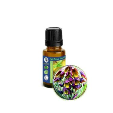 Imagem de Óleo essencial absoluto de boronia (boronia megastigma) - 15 ml (1/56.7 g)