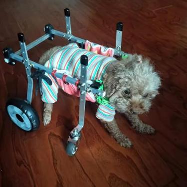 Imagem de Cadeira de rodas de apoio total para cães - Carrinho de reabilitação para cães e gatos com deficiência, auxílio de mobilidade da perna frontal/traseira, tamanho ajustável G para animais de estimação