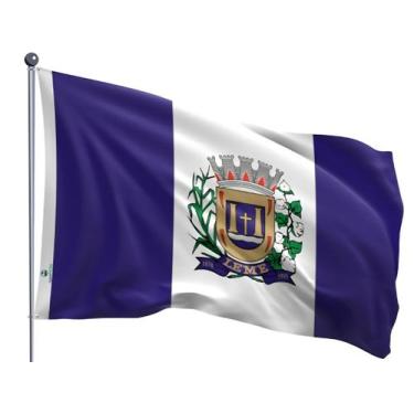 Imagem de Bandeira do Município de Leme Dupla Face Estampada Tamanho 70x100cm - 