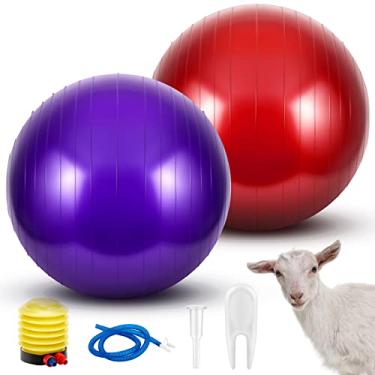 Imagem de Sotiff 2 peças de bola de cabra de pastoreio de PVC grande bola de treinamento de exercício com bomba infladora brinquedos de pastoreio para cabras cão cavalo brincar com cordeiro brinquedo de entretenimento ao ar livre (roxo, vermelho, 55 cm)