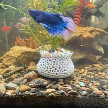 Imagem de HOZOE Vaso de plantas submersas para aquário, âncora de planta subaquática, planta aquática de tanque de peixes, decoração de paisagismo de aquário, acessórios decorativos - conjunto de 2 peças