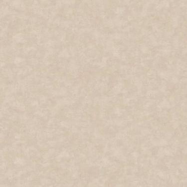 Imagem de Papel De Parede Nature Cimento Queimado Cinza Tonu8009