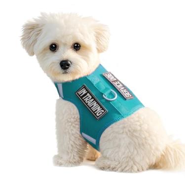 Imagem de Sunraymascota Peitoral para cachorros – Colete de malha macia refletivo ajustável fácil de colocar para cães pequenos com 2 adesivos (verde marrs, P)