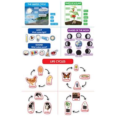 Imagem de Quadro de avisos Early Science Concepts