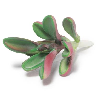 Imagem de Suculenta Artificial Decorativa 10,5 X 6cm