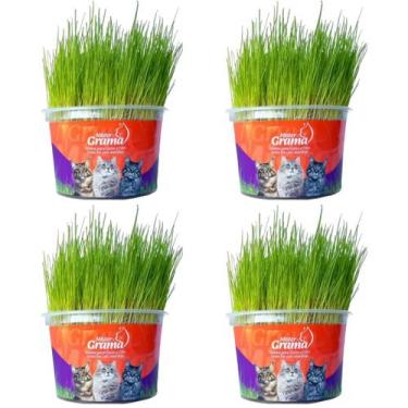 Imagem de Kit 4un Graminha para Gatos - Mister Grama - GRUPO MISTER
