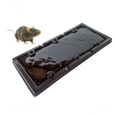 Imagem de Placa Cola Pega Rato