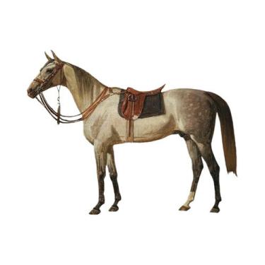 Imagem de Pôster De Arte Vintage De Cavalo Montado Em Sela, Decoração De Parede 