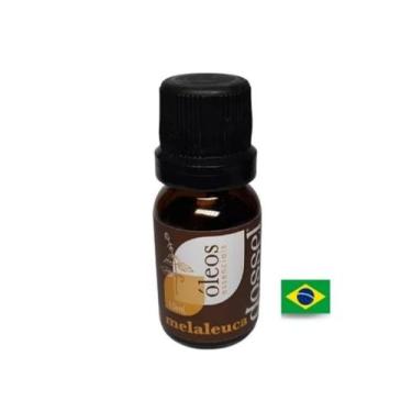 Imagem de Óleo Essencial de Melaleuca - Dossel Óleos Essenciais