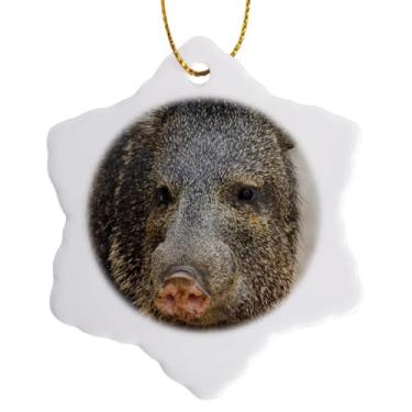 Imagem de 3dRose Enfeite de floco de neve Larry Ditto - US44 LDI0833