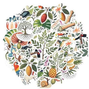 Imagem de 35 peças natureza, animais, plantas, selva, botânico, exótico, vibrante, divertido, para mala, geladeira, telefone, laptop, guitarra, carro, adesivo, brinquedos