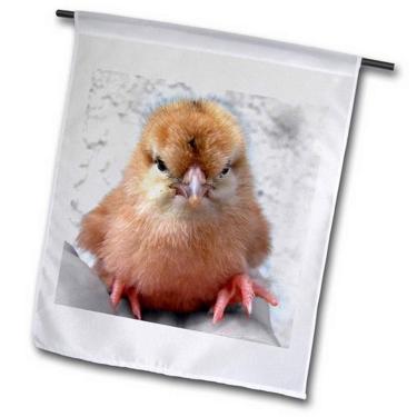 Imagem de 3dRose Fl_155909_1 Bandeira de jardim com fotografia de pintinho de galinha sedoso, 30 x 45 cm