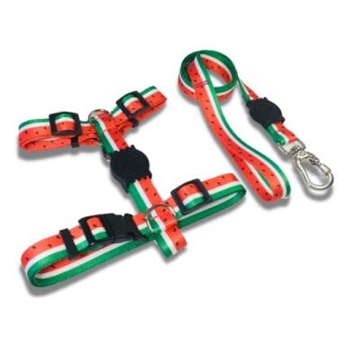 Imagem de Coleira Peitoral Tipo H para Cães - Anti-Puxão com Guia de 1,10m | Varias Estampas (Melancia,M)