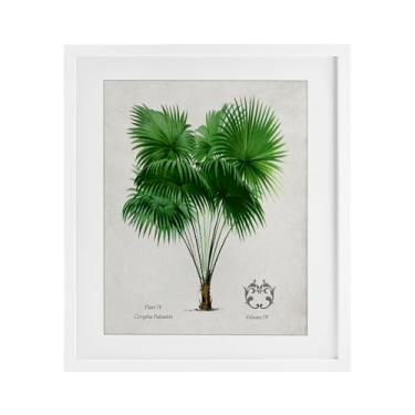 Imagem de Stupell Industries Impressão emoldurada de planta de palmeira vintage branca sob vidro por Val Rhodes, 21 x 17