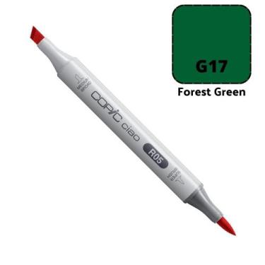 Imagem de Caneta Marcador Copic Ciao Ponta Dupla Cor Forest Green, G17 FOREST GR