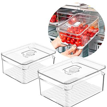 Imagem de Kit 2 Organizadores Geladeira Armário Alimentos Vegetais 2,2 Litros