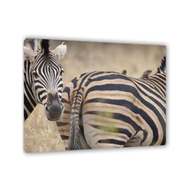 Imagem de Imagens de animais preto e branco para decoração de parede pássaro nas costas de zebra imagem de animal vintage impressão de imagem de cavalo em tela pintura de parede zebra decoração de parede para