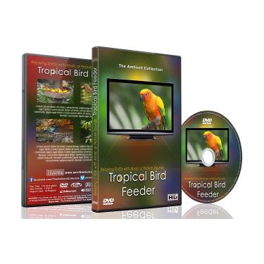 Imagem de Relaxing Birds DVD - Tropical Bird Feeder - Cute and Colourful Birds with Natural Bird Sounds Videos for Your Pets and Kids