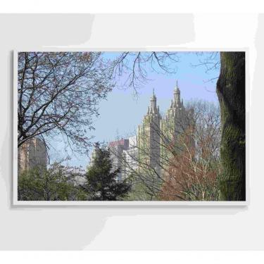 Imagem de Quadro árvores Central Park 60x40 Cm Adesivo Fotográfico