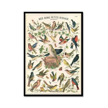 Imagem de Pôster vintage de pássaros franceses ornitologia impressão de pássaros presentes para pássaros educação arte de parede pintura em tela sala de estar decoração de casa (SKU1,20.3x30.5 cm = (20x30cm