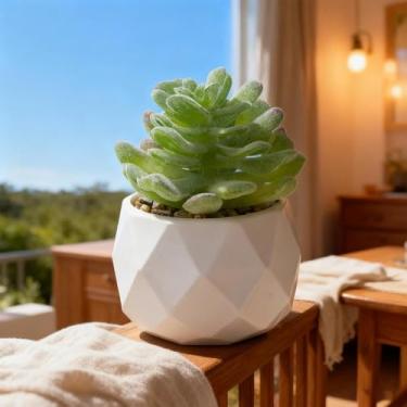 Imagem de Planta suculenta artificial em vaso decorativo, suculenta falsa realista para decoração de casa, escritório e jardim, planta interna de fácil manutenção