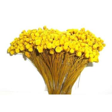 Imagem de Congonha Desidratada Natural para Decoração e Arranjos Artesanais - AN