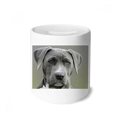 Imagem de DIYthinker Bonita caixa de cerâmica com imagem de animal de estimação, porta-moedas para presente de cofrinho