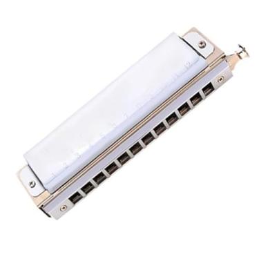 Imagem de Gaita profissional toca gaita profissional 12 furos cromática instrumento de sopro madeira bronze fósforo palheta