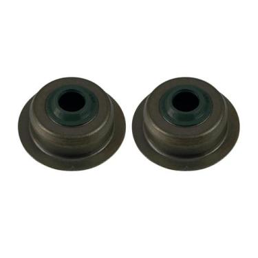 Imagem de Assentos Mola da Válvula Motor B4T 7.0/6.5/5.5hp - 19204360 - Branco, 