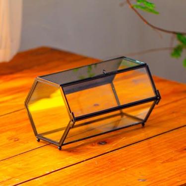 Imagem de NCYP Mini terrário de vidro com malha e porta para aranhas saltadoras, pequeno habitat de insetos - terrário de suculentas em forma de hexágono, 19 x 11 x 10 cm, decoração de interiores, preto