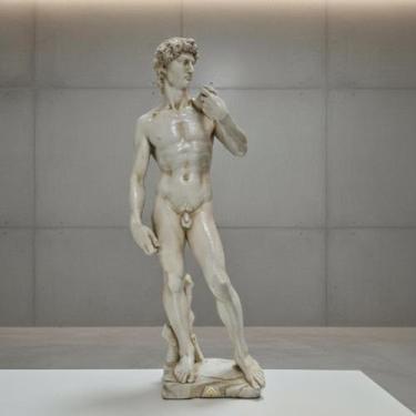Imagem de Estátua David Michelangelo Decorativo Gesso Premium 46cm Decoração Sal