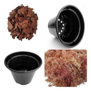 Imagem de Kit 30 Vasos Para Plantas Pote 15+musgo Substrato+pinus