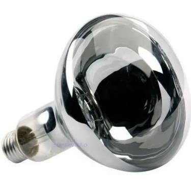 Imagem de Kit 10 Lampada Secagem Infravermelha 250w 220v E27 Estufa - bcm