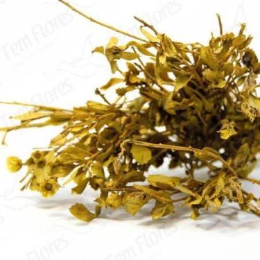 Imagem de Alecrim Amarelo Desidratado Buque Flores Secas - Pense Flores