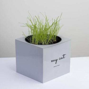 Imagem de Kit Gatos Autoirrigável + 3 Sachês Erva - Cinza