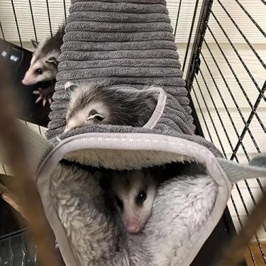 Imagem de 1 Túnel de rede de inverno pequeno para animais de estimação com forro macio de pelúcia para hamster sugar glider rato, furão, cama de balanço aconchegante para aninhamento de gaiola, roxo