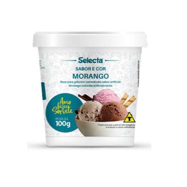 Imagem de Base Para Sorvetes Gelatos Fabricação Caseira Vários Sabores - Selecta