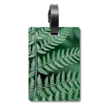 Imagem de Imagem de planta de folha, fotografia natural, bolsa de viagem, etiqueta para cartão de bagagem, etiqueta