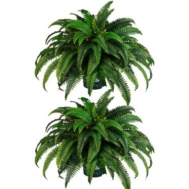 Imagem de QIANYUN Plantas artificiais falsas de 76 cm, samambaias artificiais resistentes a UV para quarto, sala de estar, jardim, decoração interna ao ar livre - incluindo plantadores (verde-02)