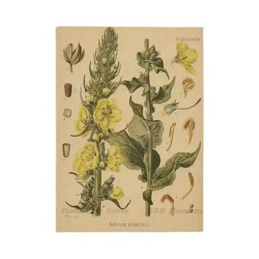 Imagem de Pôster Vintage De Flores Botânicas DIY Para Decoração De Quarto, Casa,