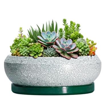 Imagem de EPFamily Vasos de bonsai de cerâmica, vaso de 25 cm com orifícios de drenagem e pires, verde escuro