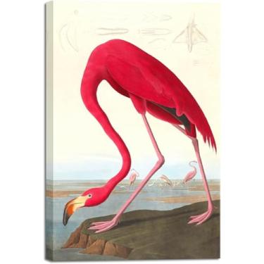 Imagem de Arte de parede impressa em tela flamingo americano por John James Audubon The Birds of Reprodutions Arte de imagem para sala de estar decoração de cozinha casa moldura 75 x 50 cm (30 x 20 pol)