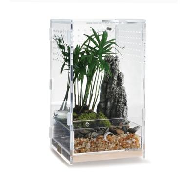 Imagem de WBHONGHUI Terrário de habitat de réptil transparente acrílico com trava, perfeito para anfíbios e invertebrados como aranhas, sapos, etc. (madeira vertical pequena)