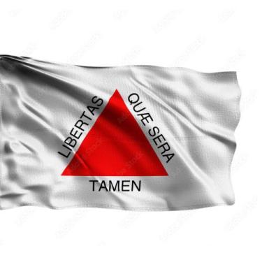 Imagem de Bandeira Minas Gerais Oficial Grande 150 x 90 Cm  2024 - WCAN